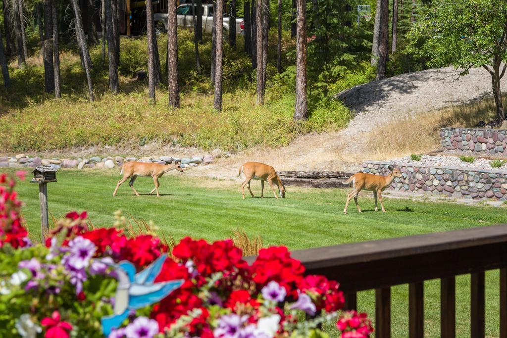 Meadow Lake View Bed And Breakfast Columbia Falls Luaran gambar